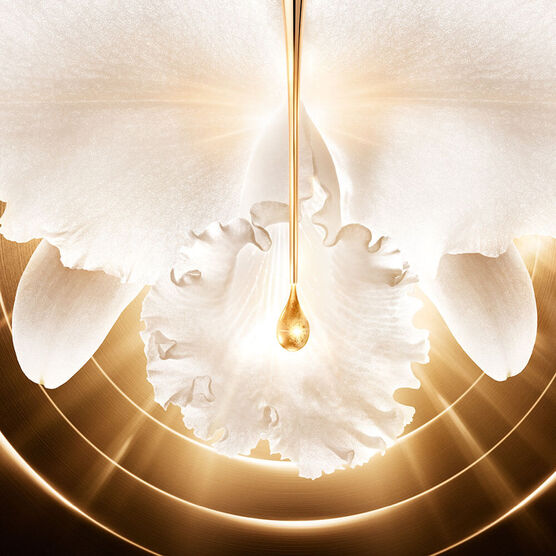 Creme Hidratante Guerlain Orchidée Impériale Gold Nobile